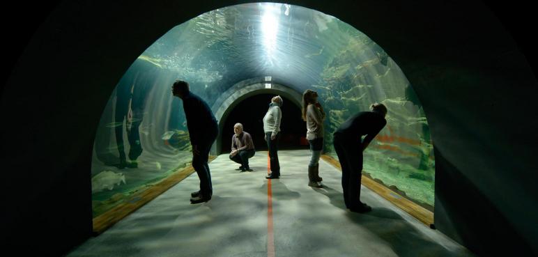 Oceanarium w Stralsund
