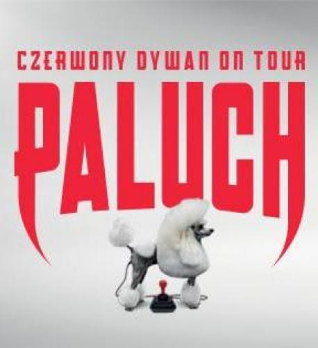 Koncert Paluch X Czerwony Dywan Koncert Paluch X Czerwony Dywan