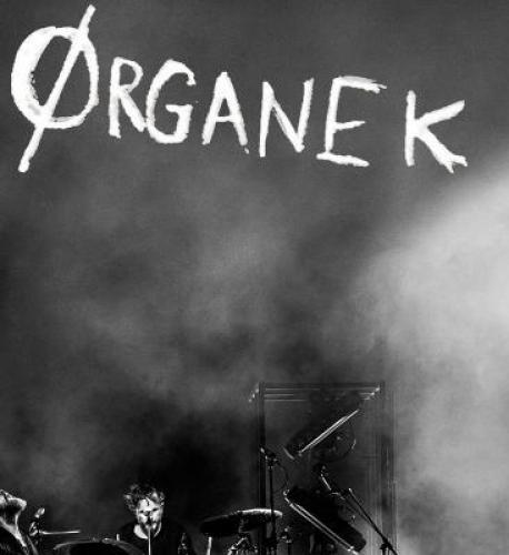 Koncert Organek Koncert Organek