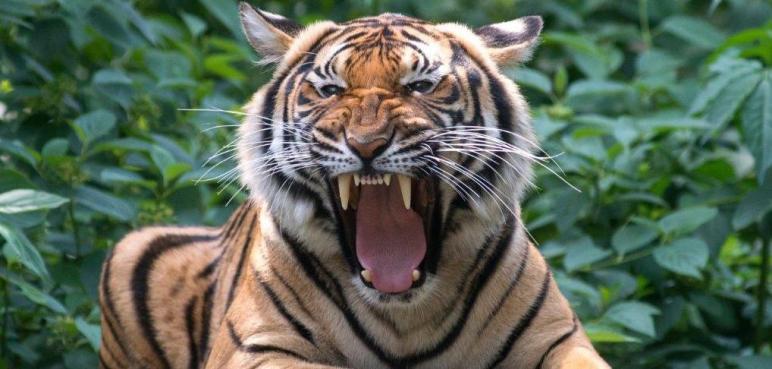 Berlińskie Zoo idealne dla dzieci i … dorosłych