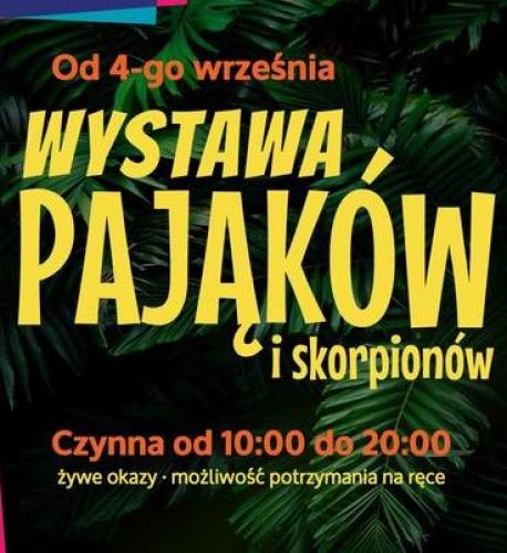 Wystawa Żywych Pająków i Skorpionów Wystawa Żywych Pająków i Skorpionów
