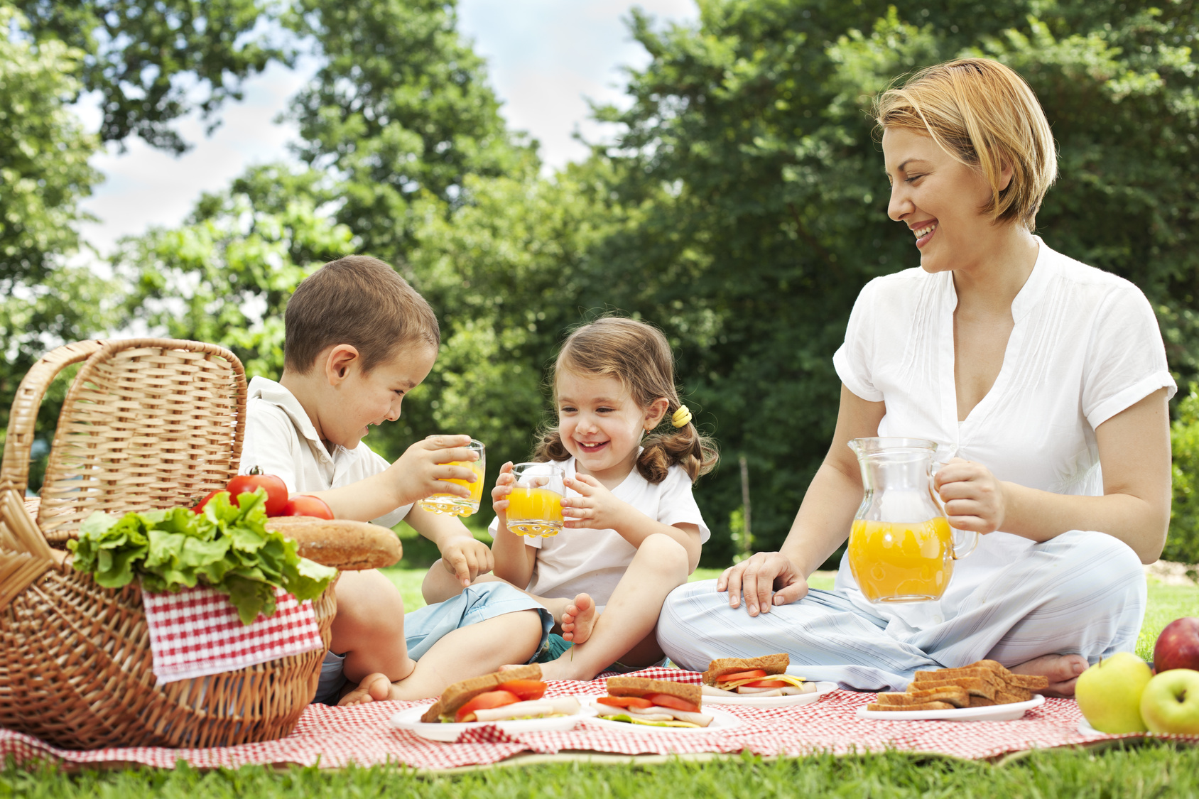 Ничего не бойся пикник когда написана. Пикник на природе. Семья на пикнике. Пикник с семьей на природе. Семейная фотосессия на природе пикник.