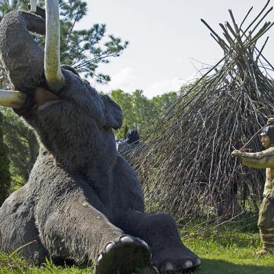 Bałtycki Park Dinozaurów!