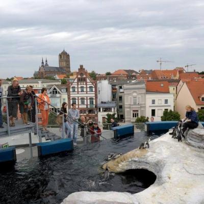 Stralsund Oceanarium