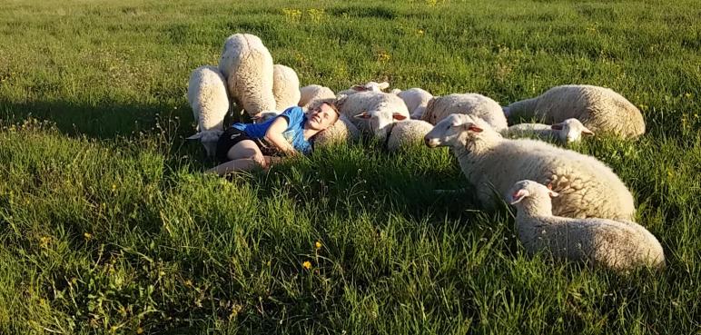 Mój Zwierzaczek: Jedna rodzina i 70-kilkoro zwierzaków! 