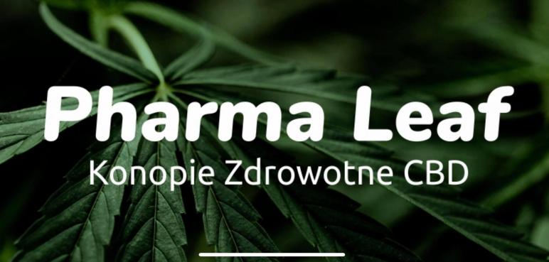 CBD dla Zdrowia. Odwiedź Pharma Leaf!