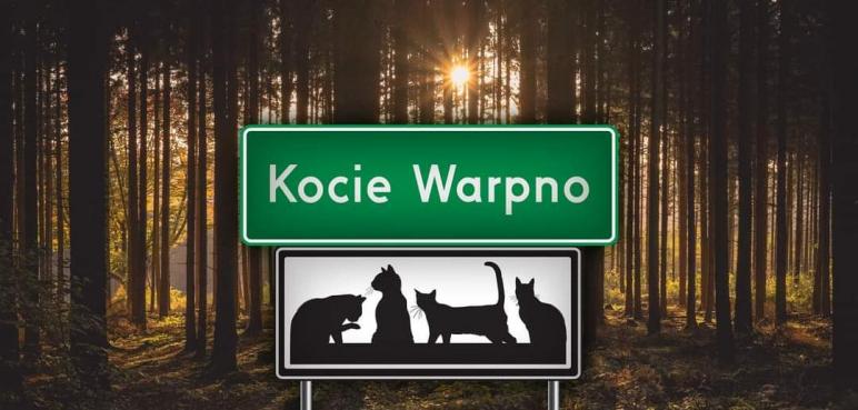 Kocie Warpno - pomoc dla naszych kocich przyjaciół.