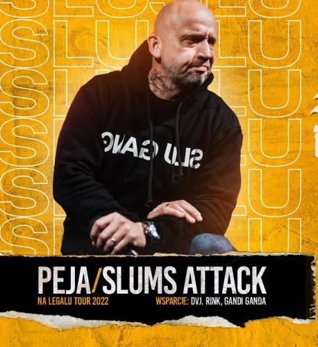 Peja Koncert - 20 lat Na Legalu Peja Koncert - 20 lat Na Legalu