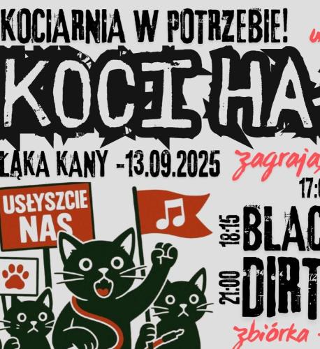 Koci Hałas – akcja charytatywna w Piwnicy Kany Koci Hałas – akcja charytatywna w Piwnicy Kany