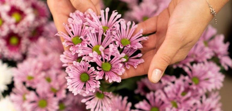 Kwiaciarnia Maria – 30 lat tradycji, serca i kwiatów. 