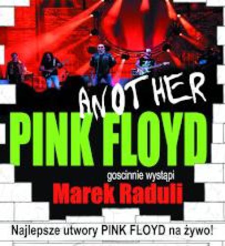 Another Pink Floyd Tribute Band z udziałem Marka Raduliego. 