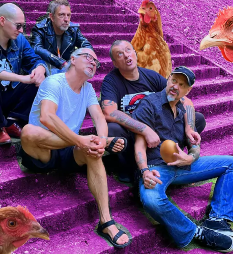 Koncert zespołu Kury