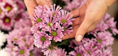 Kwiaciarnia Maria – 30 lat tradycji, serca i kwiatów. 