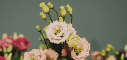 Najczęstsze błędy przy kupowaniu kwiatów – na co uważać w Szczecinie?